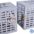 Humane Rat Rodent Control Catcher Mouse Trap Cage